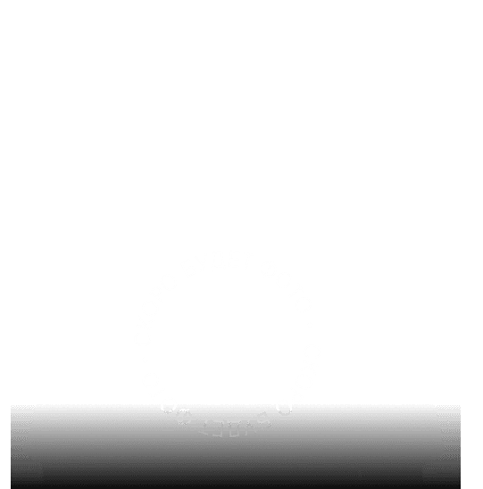 Хубаев Давид Анзорович